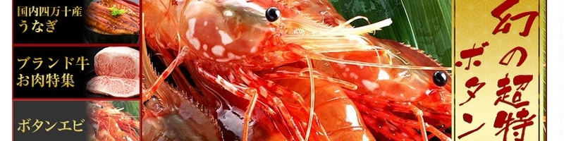 ������Ⴂ���Ɏs����T�C�g